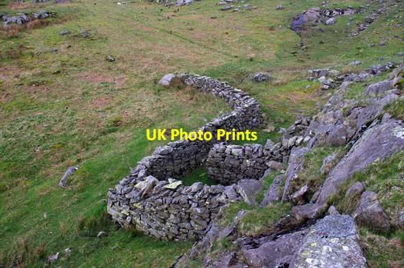 Photo 6"x4" Sheepfold, Torver High Common Scar Head c2014