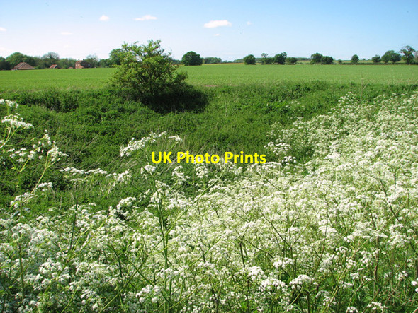 Photo 6"x4" Dried out pond Upper Guist c2014