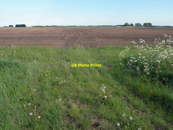 Photo 6"x4" Farmland near North Cotes airfield Marshchapel c2014