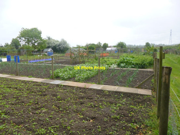 Photo 6"x4" Stamford, allotments Stamford\/TF0207 c2014