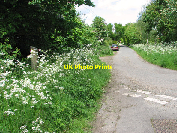 Photo 6"x4" View along Bond's Road Tivetshall St Margaret c2014