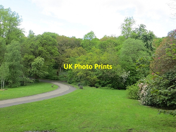 Photo 6"x4" The Glade, Pollok Park Bellahouston c2014