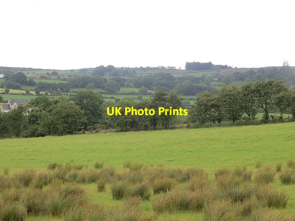 Photo 6"x4" Wettish field, Flemingstown Convoy c2013