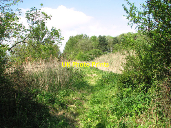 Photo 6"x4" Footpath to Decoy Farm West End\/TG4911 c2014