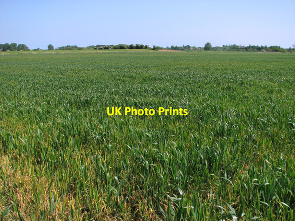 Photo 6"x4" Fields in Mautby Marsh West End\/TG4911 c2014