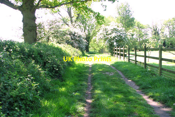 Photo 6"x4" Footpath to Mautby Hall West End\/TG4911 c2014