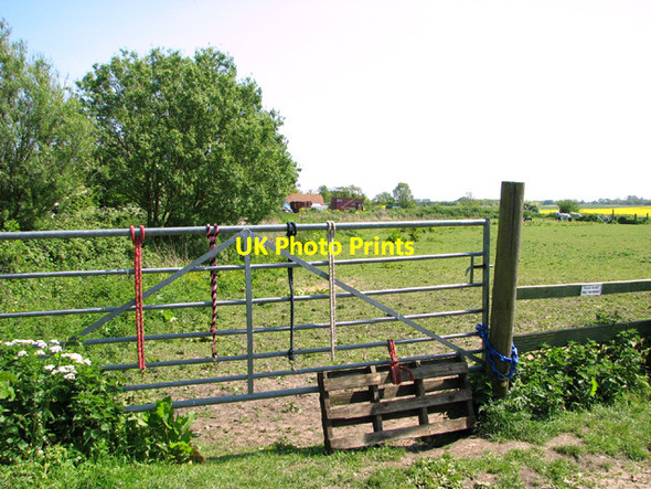 Photo 6"x4" Pastures by Elm Farm West Caister c2014