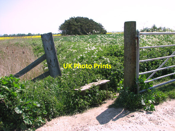 Photo 6"x4" Obsolete stile beside the path to the River Bure West Caister c2014