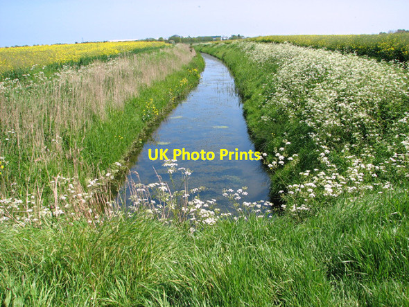 Photo 6"x4" Drainage ditch north of the River Bure West Caister c2014