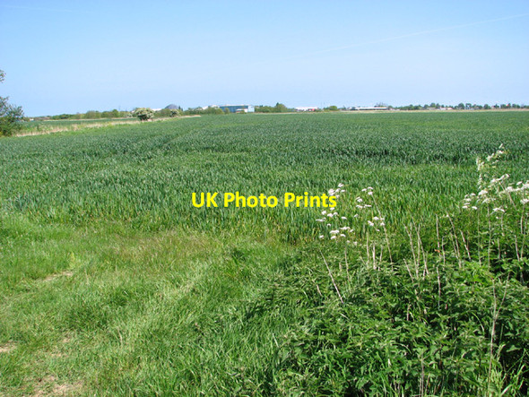 Photo 6"x4" Wheat crop field north of the River Bure North Denes c2014