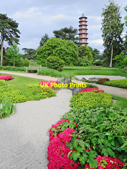 Photo 6"x4" Japanese garden, Kew Brentford c2014