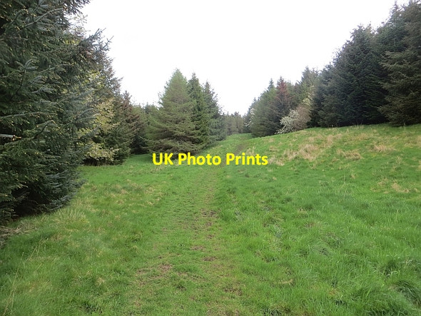 Photo 6"x4" Ride, Ashkirk Hill Salenside c2014