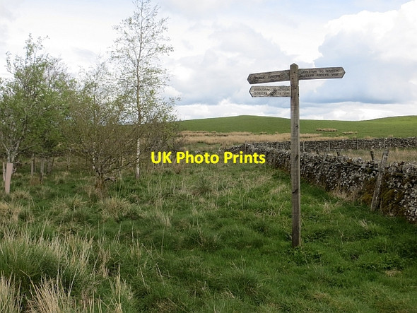 Photo 6"x4" Path sign, Ashkirk Hill Salenside c2014