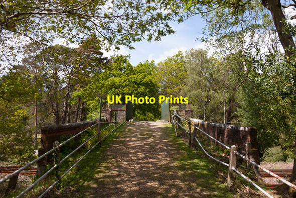 Photo 6"x4" Bridge over railway approaching Denny Lodge Inclosure Furzey Lodge c2014
