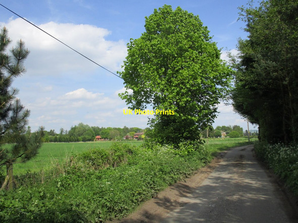 Photo 6"x4" Waplington Lane Allerthorpe c2014