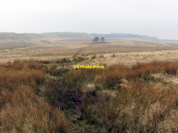 Photo 6"x4" Pennine Way south of Haggyshaw Plantation Stonehaugh c2014
