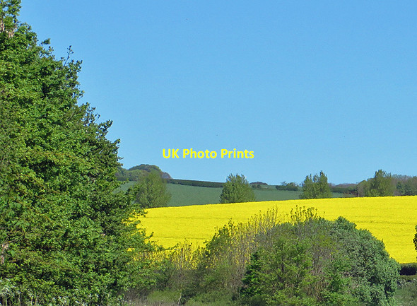 Photo 6"x4" Yellow splash Crossgates\/TA0384 c2014
