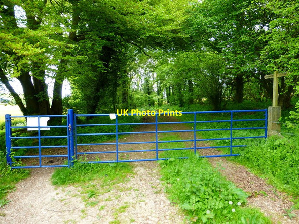 Photo 6"x4" Bridleway goes through gate going east towards Wolfhanger Farm Bramdean c2014