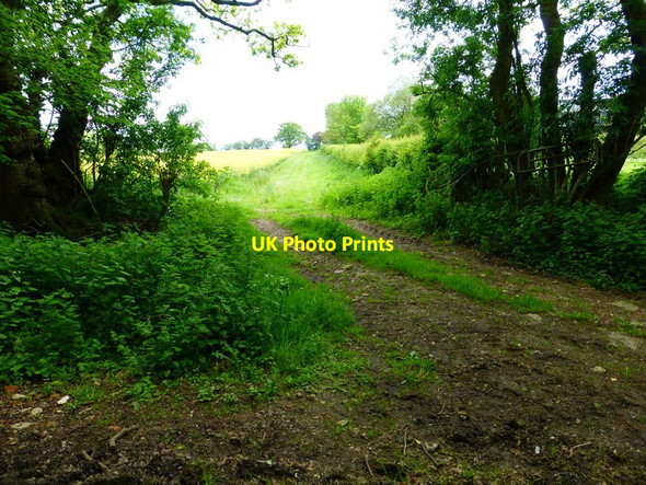 Photo 6"x4" Farm track at Wolfhanger Farm Bramdean c2014