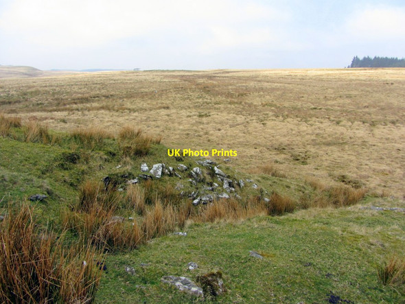 Photo 6"x4" Haughton Common Stonehaugh c2014