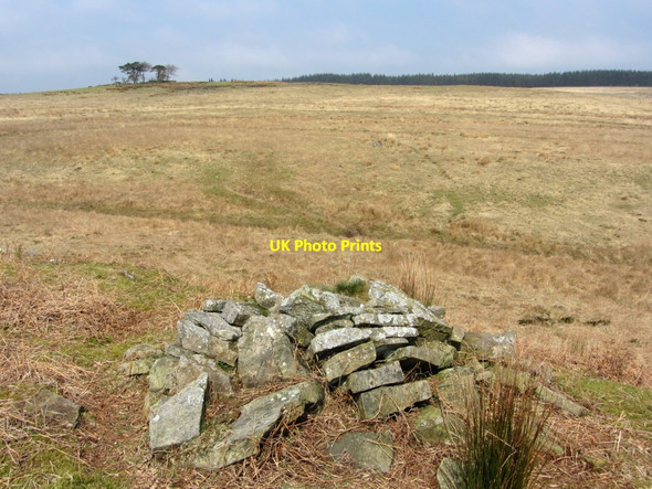 Photo 6"x4" Cairn above Sell Burn Stonehaugh c2014