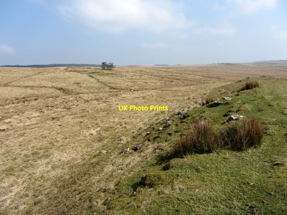 Photo 6"x4" Harraway Hills, Haughton Common Stonehaugh c2014