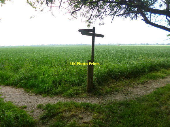 Photo 6"x4" Eastergate, footpath junction Barnham\/SU9604 c2014