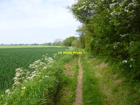 Photo 6"x4" Eastergate, footpath Barnham\/SU9604 c2014