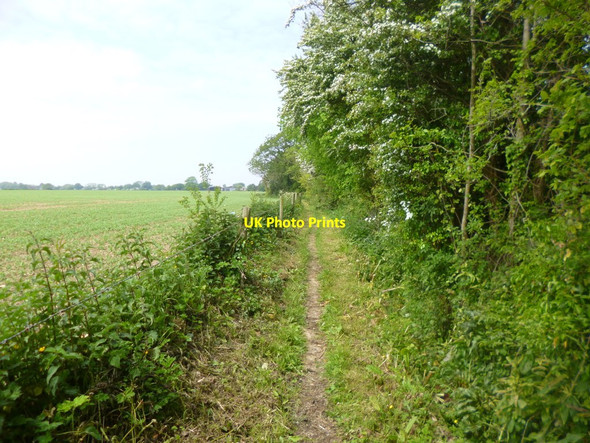 Photo 6"x4" Eastergate, footpath Eastergate c2014