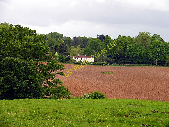Photo 6"x4" Farmland and Frilsham Frilsham c2005