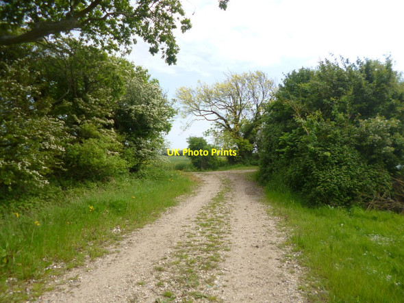 Photo 6"x4" Woodgate, farm track junction Woodgate\/SU9304 c2014