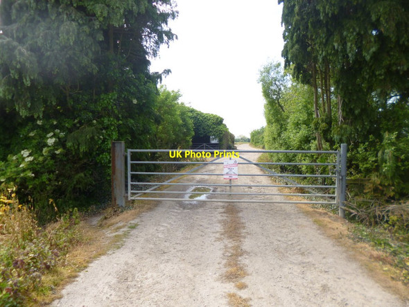 Photo 6"x4" Woodgate, gate Lidsey c2014