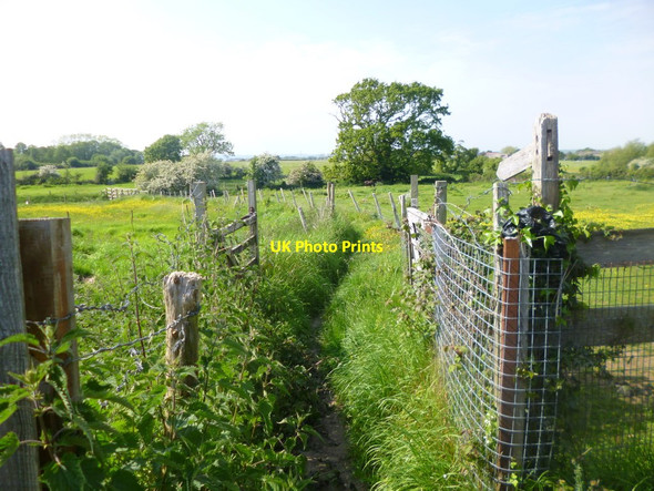 Photo 6"x4" Barnham, footpath Saxby\/SU9603 c2014