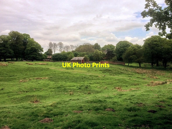Photo 6"x4" Tatton Park near The Old Hall Tatton Dale c2014