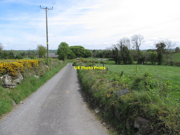 Photo 6"x4" View east along an access lane linking Carrickgallogly Road and Carrickananny Road Belleek\/H9827 c2014