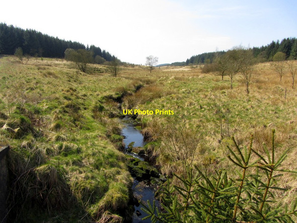 Photo 6"x4" Middle Burn Stonehaugh c2014