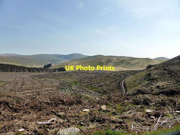 Photo 6"x4" Clear-fell beneath Mynydd Bychan Mynydd Bychan\/SN7792 c2014