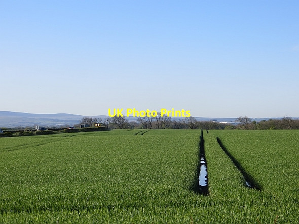 Photo 6"x4" Wet tramlines Ecclesmachan c2014