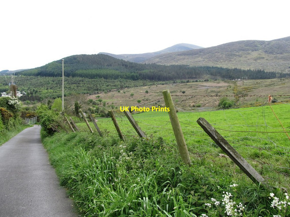 Photo 6"x4" Belt of moorland between Drinnahilly and Curraghard Newcastle\/J3732 c2014