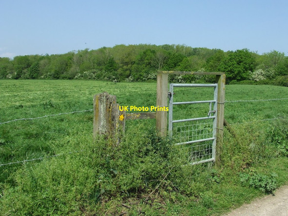 Photo 6"x4" Footpath Gate Flixton\/TM3186 c2014