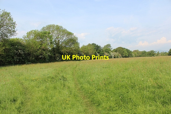 Photo 6"x4" Railway embankment, Upton Tunnel Hill\/SO8440 c2014