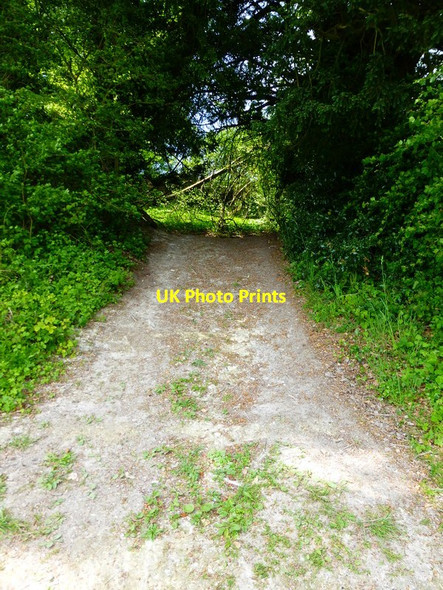 Photo 6"x4" Footpath heads into trees to join track south of Shutt's Copse East End\/SU6424 c2014