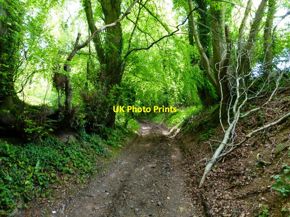 Photo 6"x4" Bend on track by Sutton Park East End\/SU6424 c2014
