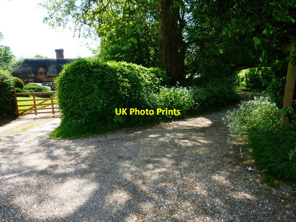 Photo 6"x4" Footpath leaves lane at West Meon Woodlands West Meon Woodlands c2014