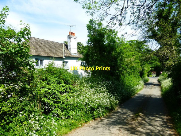 Photo 6"x4" Looking east on minor road past Stoney Dean Farmhouse East End\/SU6424 c2014