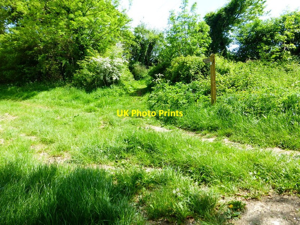 Photo 6"x4" Byway goes east from Marlands East End\/SU6424 c2014