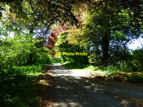 Photo 6"x4" T junction at Brockwood Bottom looking west Warnford c2014