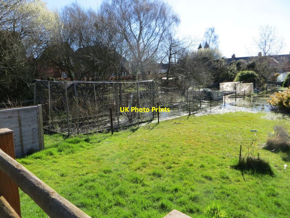 Photo 6"x4" Flooded Garden Newbury\/SU4767 c2014