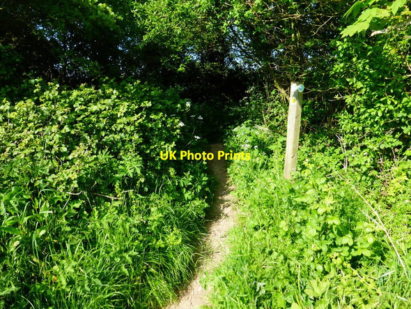 Photo 6"x4" Bridleway and footpath junction south of Bramdean Bramdean c2014