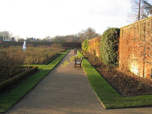 Photo 6"x4" The Rose Garden, Hampton Court Palace Surbiton c2008